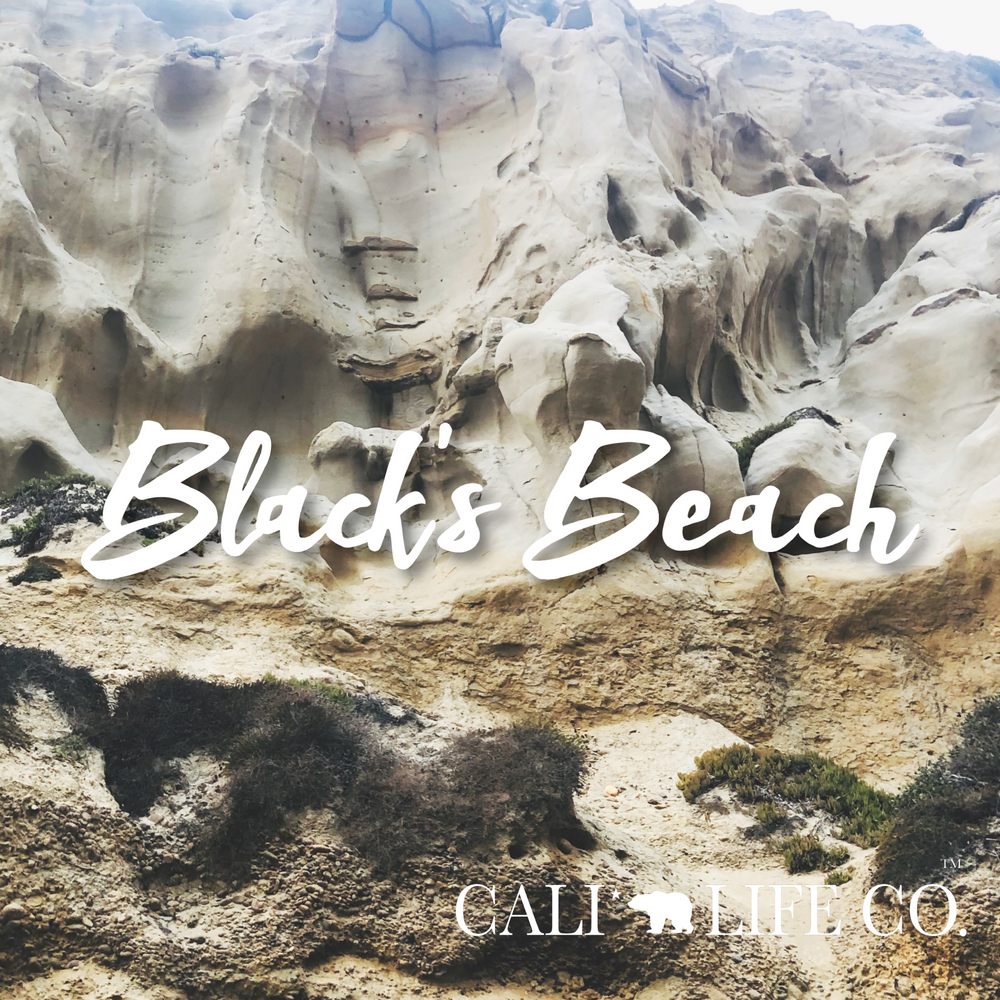 Blacks Beach California