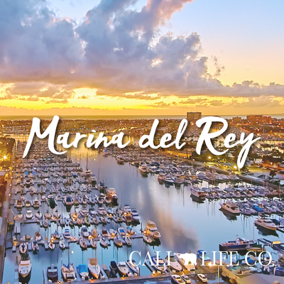 Cali Life Co. Marina del Rey polarized UV400 eco-friendly sunglasses designed in San Diego CA
